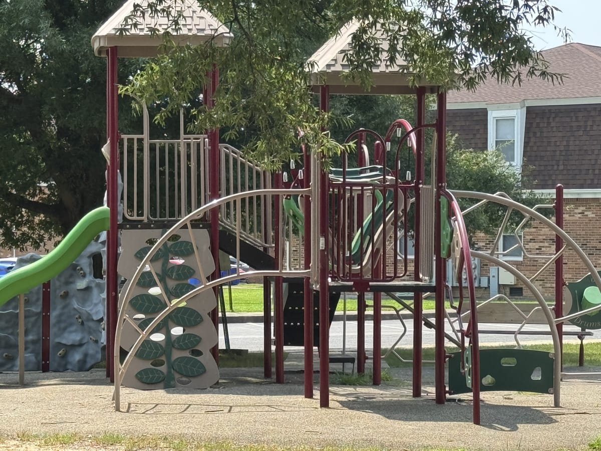 The playground at Carroll LaPlata Village, with a climbing wall, slides and a shaded platform beside the townhouses